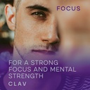 CLAV N°4 Brain Booster - Nootropics Brain Support Supplement for Memory & Focus - Lions Mane, Bacopa Monnieri, Ginkgo - Brain Vitamins & Memory Pills - 60 Capsules 3