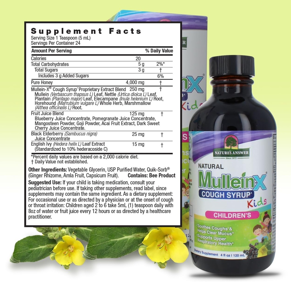 Nature's Answer Mullein X Kids Cough Syrup 4 Ounce - Soothes Coughs, Clears Mucus, Respiratory & Lung Support, Non GMO, Gluten Free, Non Drowsy, Mucus Relief - Natural Honey Flavor 4