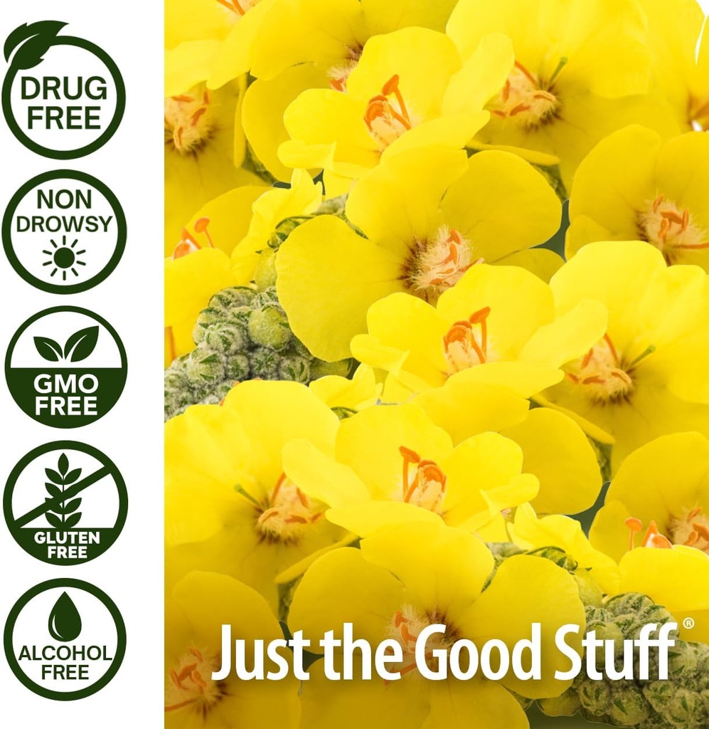 Nature's Answer Mullein X Kids Cough Syrup 4 Ounce - Soothes Coughs, Clears Mucus, Respiratory & Lung Support, Non GMO, Gluten Free, Non Drowsy, Mucus Relief - Natural Honey Flavor 5