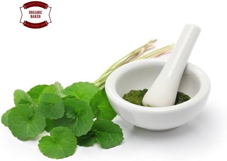 (Pack of 2) Organic Centella Asiatica Powder (50g) 6