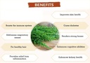Met Herb Horsetail Extract-500mg Capsules 120 Count | Hair, Skin, & Nails Support | Promotes Urinary Tract Health | Strengthen Joints 4