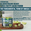 vegan-omega-3-gummies-1000mg-mullein-gum-5.jpg