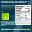 vegan-omega-3-gummies-1000mg-iron-supple-2.jpg