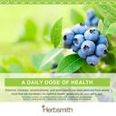 herbsmith-nutrients-superfood-dog-multiv-6.jpg
