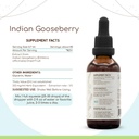 herbera-indian-gooseberry-b60-alcohol-fr-3.jpg