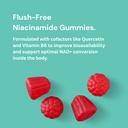 nad-gummies-800mg-niacinamide-flush-free-5.jpg