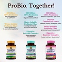 vitalitown-probiotic-bundle-pack-of-3-60-3.jpg