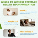 h-pylori-stomach-comfort-probiotic-l-reu-3.jpg
