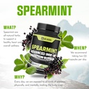 welbuda-210-capsules-spearmint-supplemen-5.jpg