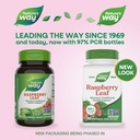 nature-s-way-raspberry-leaf-traditional--3.jpg