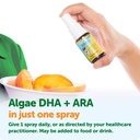 ddrops-baby-algae-dha-ara-30-sprays-omeg-4.jpg