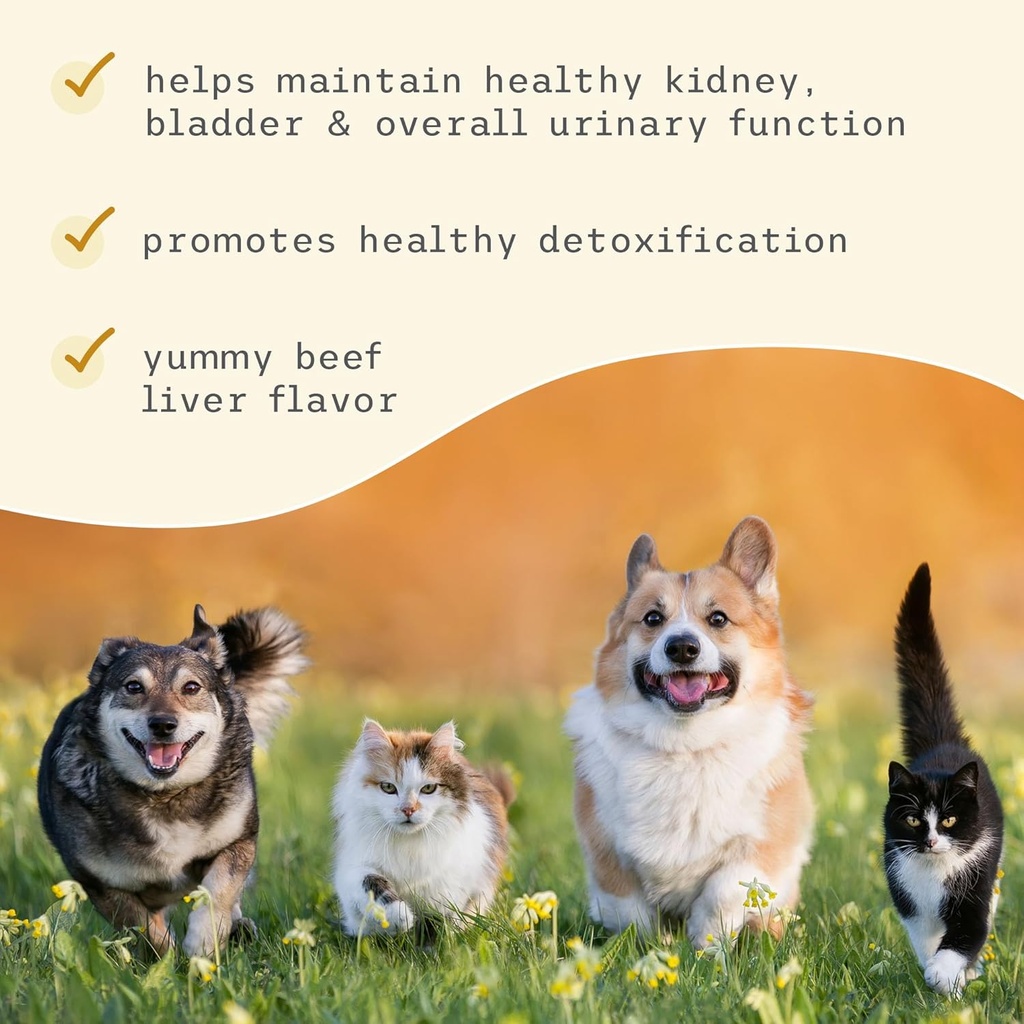 bark-whiskers-bladder-support-317-oz-90--5.jpg