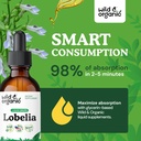 wild-organic-lobelia-tincture---herbal-l-4.jpg