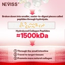 neviss-prenatal-vitamins-for-women-colla-6.jpg