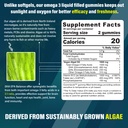 vegan-omega-3-gummies-1000mg-with-vegan--6.jpg