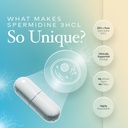 spermidine-capsules-gluten-free-99-conce-3.jpg