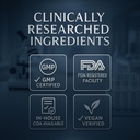 xenivra-synaptix-natural-nootropic-brain-4.jpg
