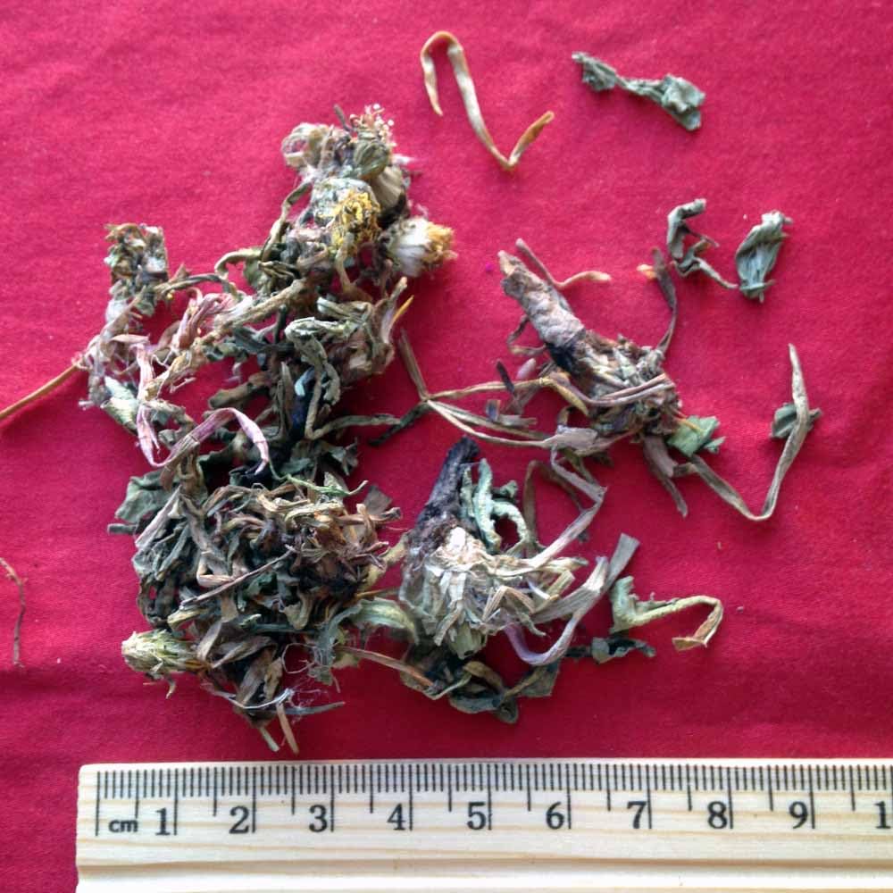 xyp-pugongying-pu-gong-ying-100gram-3.jpg