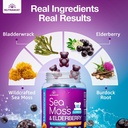 sea-moss-gummies-with-elderberry-vitamin-3.jpg