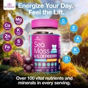 sea-moss-gummies-with-elderberry-vitamin-5.jpg