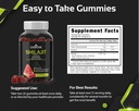 cognitune-gummy-wellness-bundle---resver-3.jpg