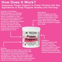 dogzymes-fading-puppy-support-probiotics-2.jpg