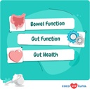 lysine-probiotics-prebiotics-for-cats----3.jpg