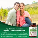 zazzee-kidney-bladder-urinary-tract-supp-5.jpg