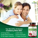 urinary-tract-health-cleanse-bundle-fast-4.jpg