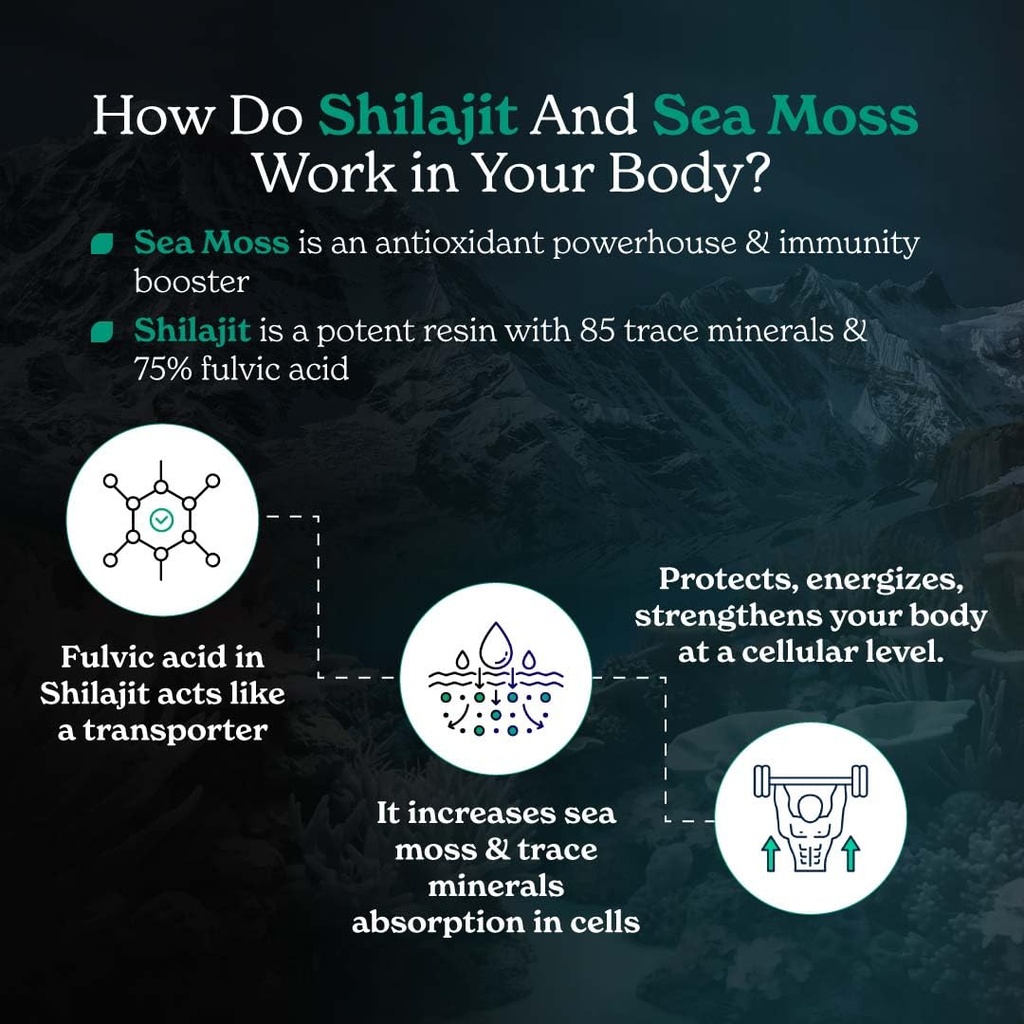 better-alt-shilajit-sea-moss-capsules-pa-2.jpg