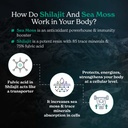 better-alt-shilajit-sea-moss-capsules-pa-2.jpg