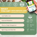 full-body-15-day-detox-with-15-organic-h-5.jpg