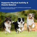 taurine-supplement-for-dogs-liquid-drops-5.jpg
