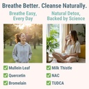 mullein-tudca-nac-quercetin-with-bromela-3.jpg