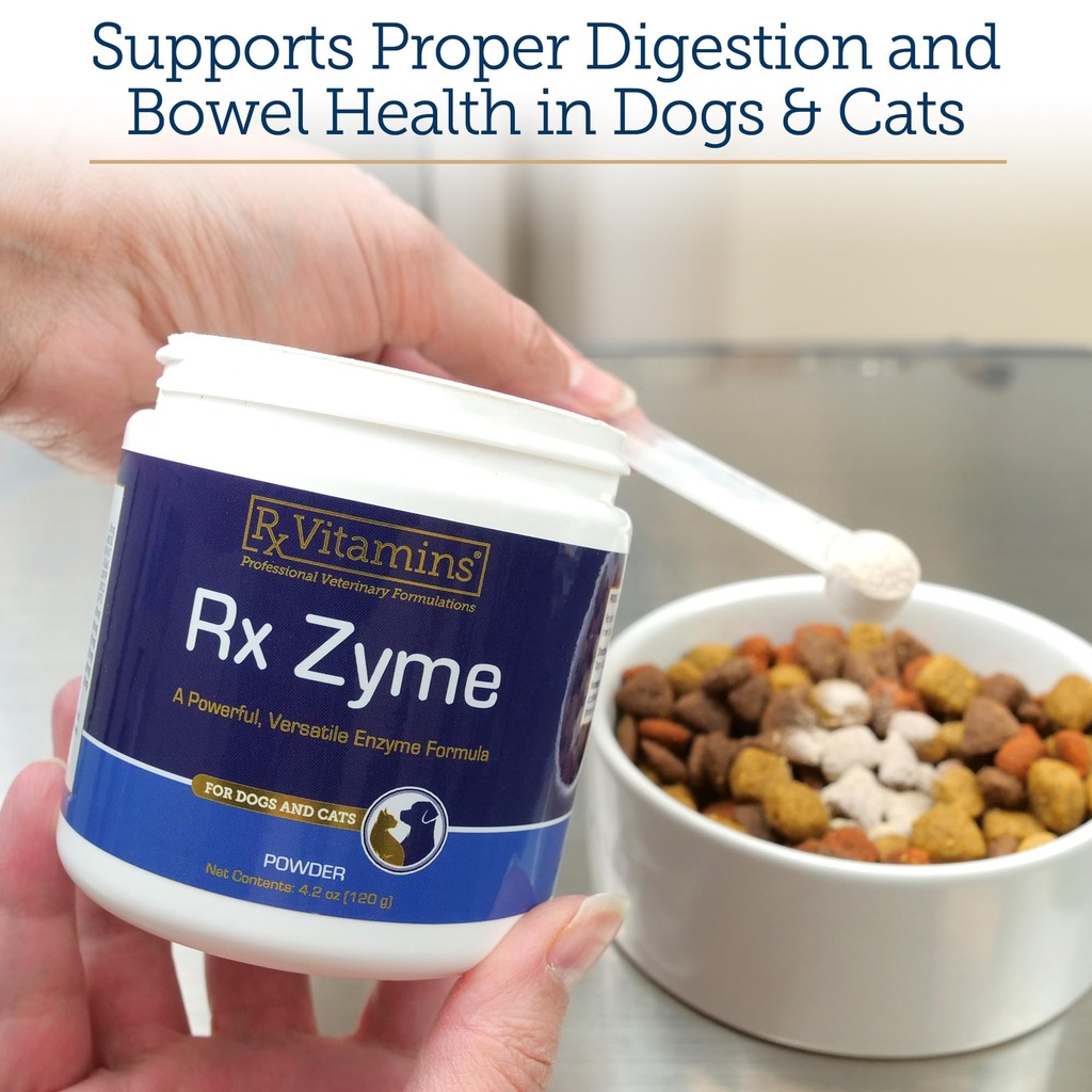 rx-vitamins-rx-zyme-powder-digestive-enz-2.jpg