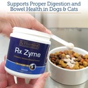 rx-vitamins-rx-zyme-powder-digestive-enz-2.jpg