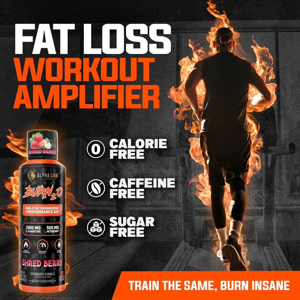 alpha-lion-burn2o-l-carnitine-liquid-200-3.jpg