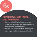 allergy-research-group-milk-thistle-plus-5.jpg