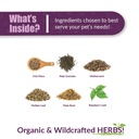 amber-naturalz-tyd-thyroid-balance-herba-3.jpg