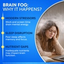 brain-supplements-for-memory-and-focus-f-6.jpg