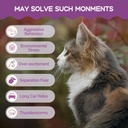 cat-melatonin-natural-calming-drops-supp-6.jpg