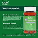 caw-nano-cycloastragenol-25mg-telomerase-2.jpg