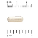 california-gold-nutrition-spermidine-ric-3.jpg