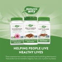 nature-s-way-premium-herbal-pau-d-arco-i-6.jpg