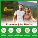 asquared-nutrition-glucosamine-chondroit-5.jpg