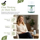 brain-support-for-memory-and-focus-brain-2.jpg