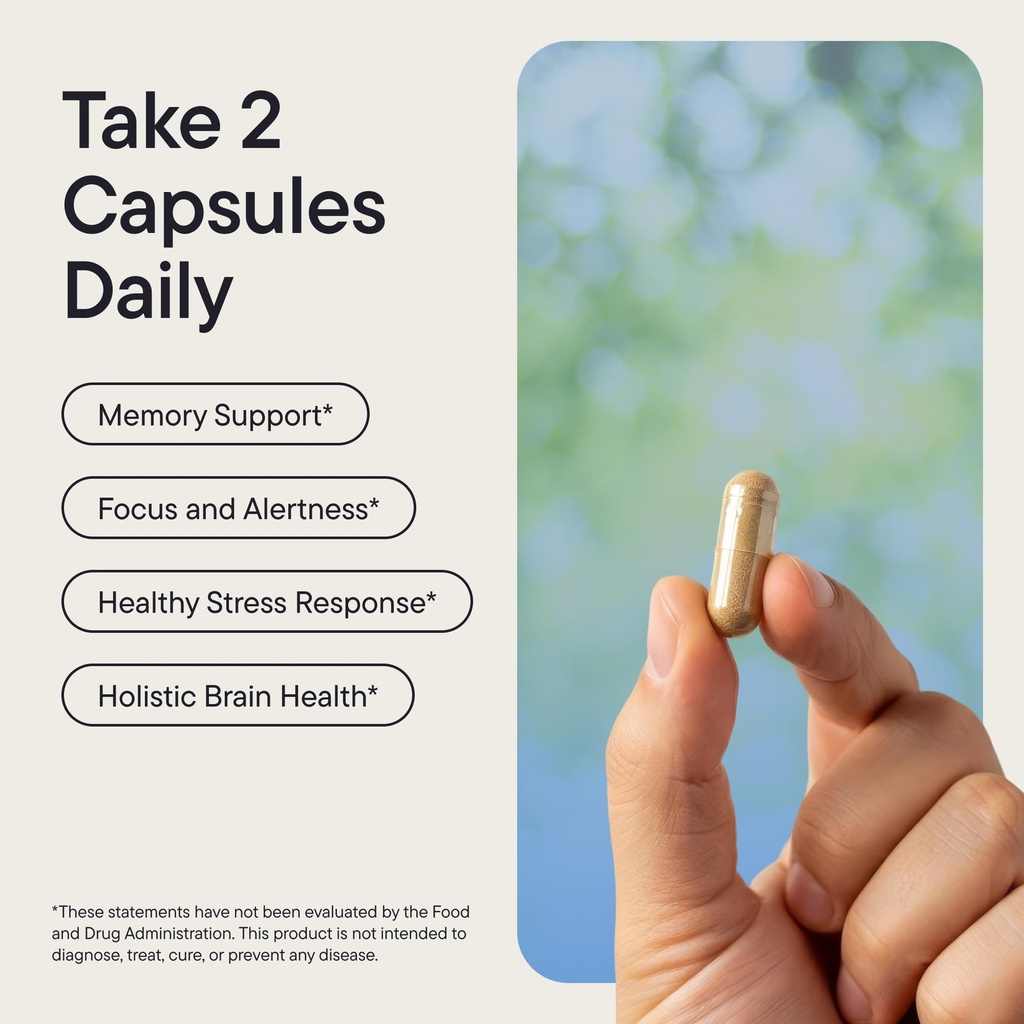 brain-supplements-for-memory-and-focus-f-3.jpg