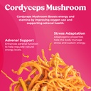super-prune-super-bouncy-mushroom-supple-3.jpg