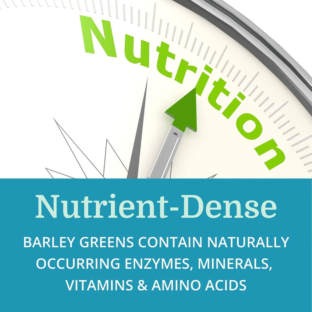 alkagreen-powder-best-process-alkaline-n-5.jpg