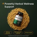 naturebell-berberine-500mg-300-capsules--2.jpg